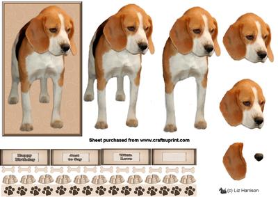 Beagle 3D Decoupage