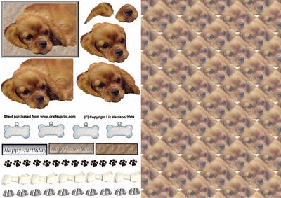 Cavalier King Charles Spaniel 3D Decoupage with Background