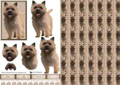 Cairn Terrier Dog 3D Decoupage with Background