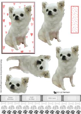 Chihuahua 3D Decoupage