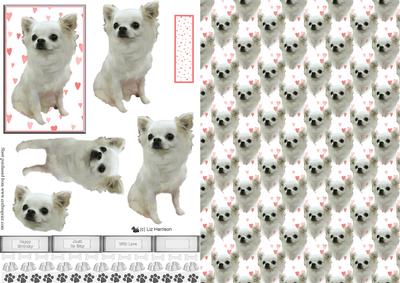 Chihuahua 3D Decoupage with Background