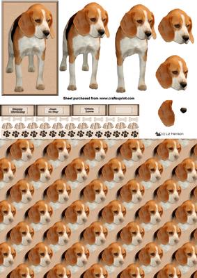 Beagle 3D Decoupage with Background