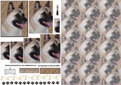 Akita Portrait Pyramid with Background