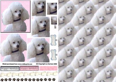 Poodle Pyramid with Background