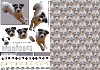 Jack Russell Laid Down 3D Decoupage with Background