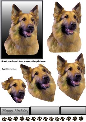 German Shepherd 4 Portrait 3D Decoupage