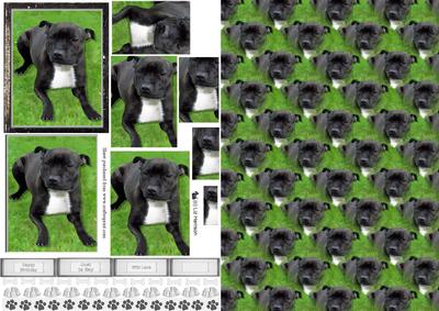 Staffordshire Bull Terrier Pyramid with Background