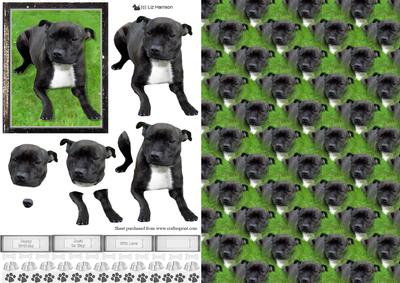 Staffordshire Bull Terrier 3D Decoupage with Background