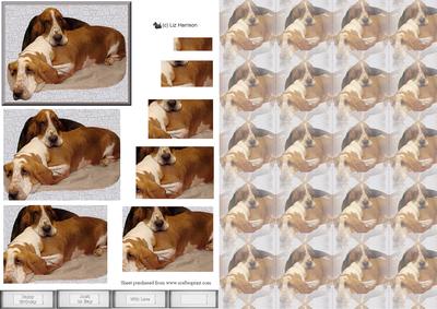 Basset Hound Pair Pyramid with Background