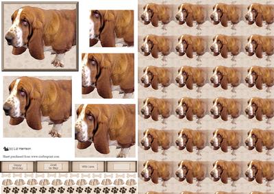 Basset Hound Pyramid with Background