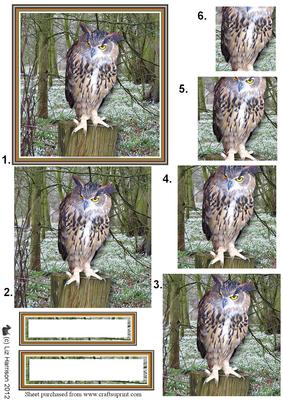Eagle Owl Woodland Scene Pyramid