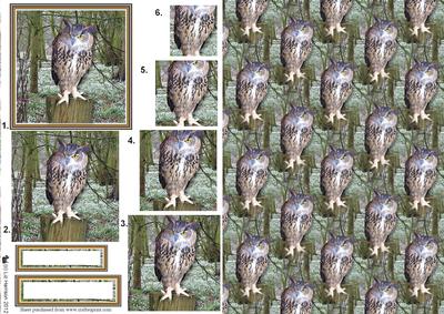 Eagle Owl Woodland Scene Pyramid with Background