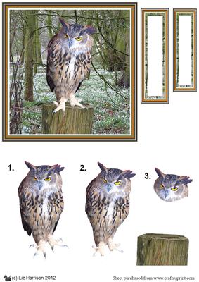 Eagle Owl Woodland Scene 3D Decoupage