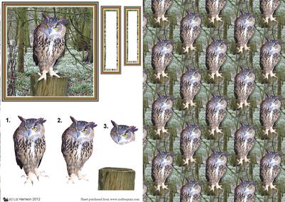 Eagle Owl 3D Decoupage with Background