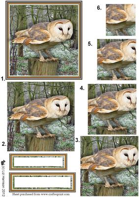 Barn Owl Woodland Scene Pyramid