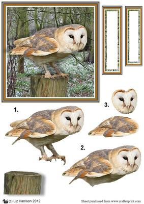 Barn Owl Woodland Scene 3D Decoupage