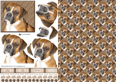 Boxer Dog Portrait 3D Decoupage with Background