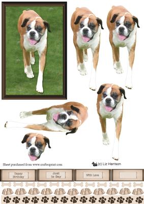 Boxer Dog Walking 3D Decoupage