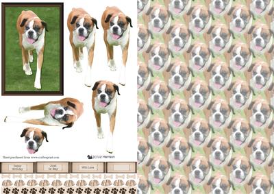 Boxer Dog Walking 3D Decoupage with Background
