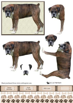 Boxer Brindle Dog 3D Decoupage