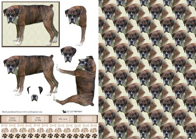 Boxer Brindle Dog 3D Decoupage with Background