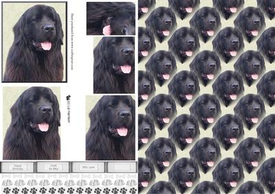 Black Newfoundland Dog Portrait Pyramid with Background