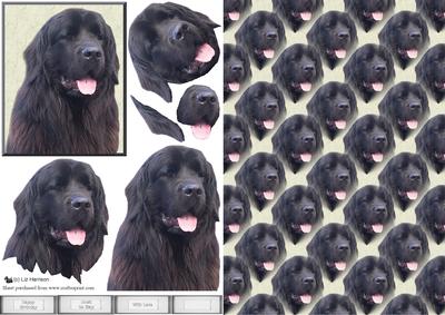 Black Newfoundland Dog Portrait 3D Decoupage with Background