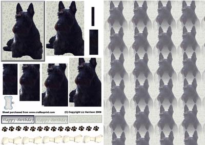 Scottie Dog Sat Pyramid with Background