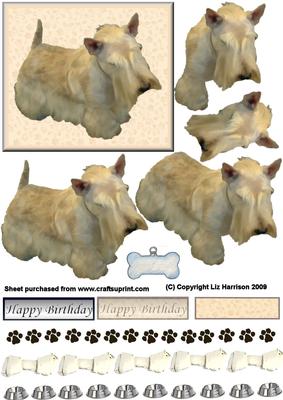Scottie Dog Wheaten Colour 3D Decoupage