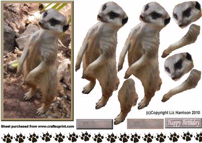 Meerkat 3D Decoupage