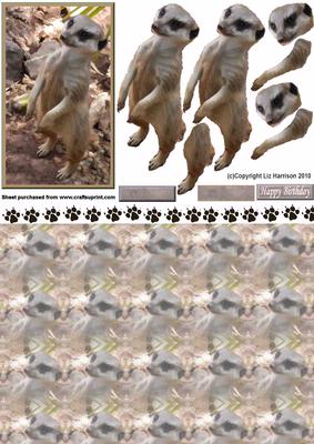 Meerkat 3D Decoupage with Background