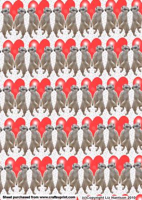 Meerkat Couple Holding Paws Background
