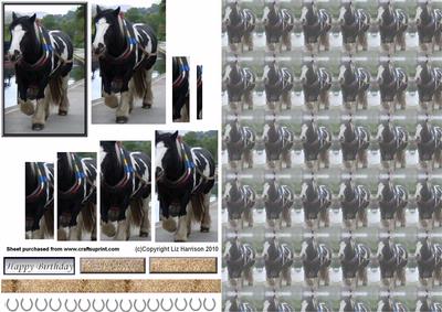 Barge Horse Pyramid with Background