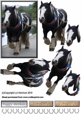 Barge Horse 3D Decoupage