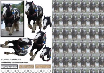 Barge Horse 3D Decoupage with Background