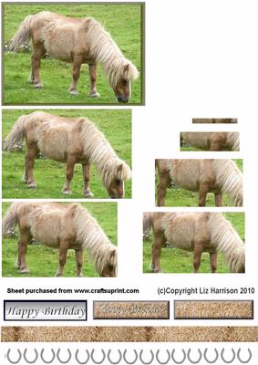 Chestnut Pony Pyramid