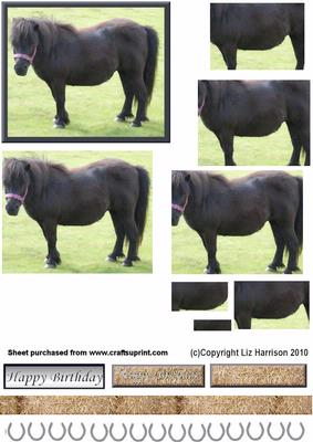Black Pony Pyramid