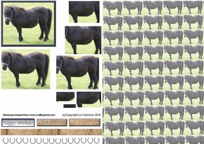 Black Pony Pyramid with Background