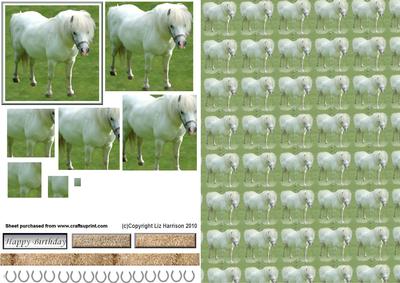 White Pony Pyramid with Background