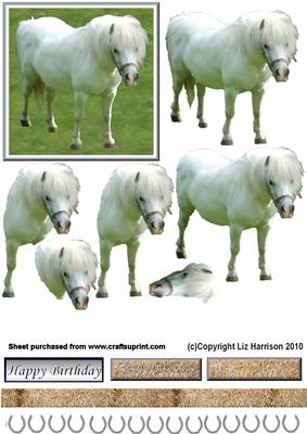 White Pony 3D Decoupage