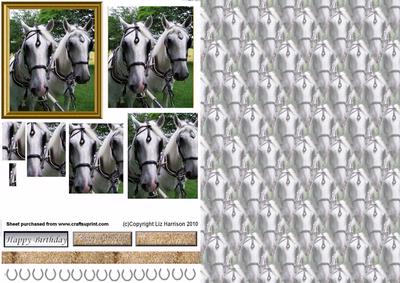 White Horse Pair in Full Harness Pyramid with Background