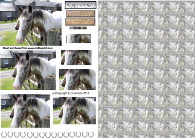 Horse Scene Pyramid with Background