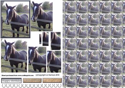 Black Horse Pyramid with Background