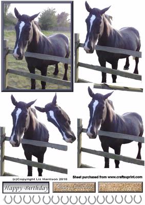 Black Horse 3D Decoupage