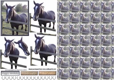 Black Horse 3D Decoupage with Background