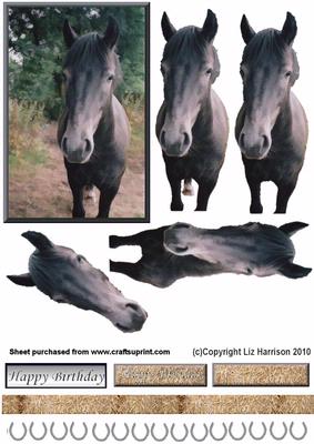 Grey Horse 3D Decoupage