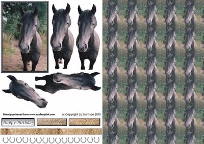 Grey Horse 3D Decoupage with Background