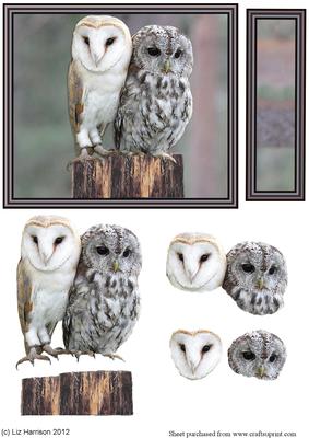 Barn & Tawny Owl 3D Decoupage