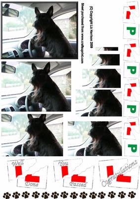 Scottie Dog in Car Pyramid