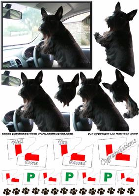 Scottie Dog in Car 3D Decoupage